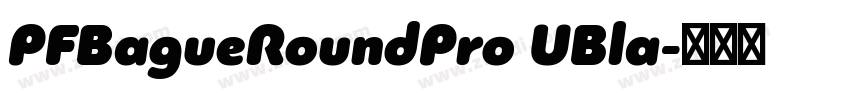 PFBagueRoundPro UBla字体转换
